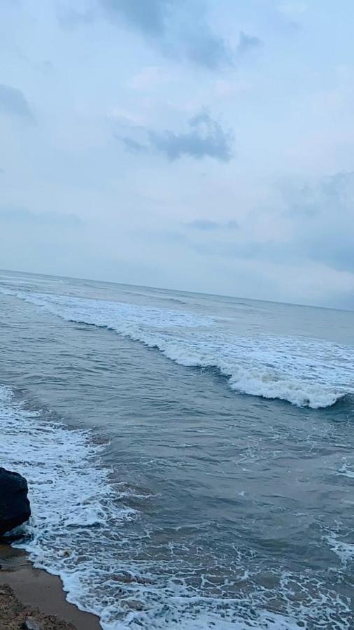 Catch A Wave Hotel Mamallapuram Eksteriør billede